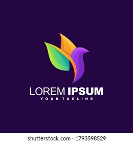 diseño de logotipo de color de gradiente de pájaro