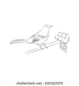 bird graphic design template