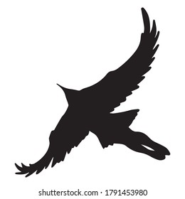bird graphic design vector illustration, icon, tattoo art sketch, hand draw, logo, use in print