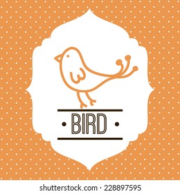 bird graphic design , vector illustration