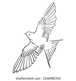 bird graphic design vector illustration,icon,art tattoo sketch, hand draw, print use