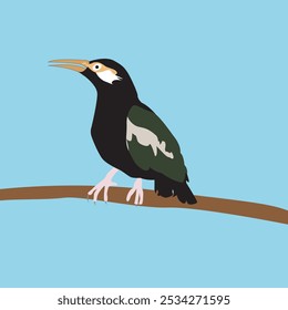 Bird graphic vector illustration on blue background. Suitable for illustrations of animal characters, fauna education, and fun natural themes. eps 10