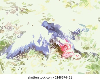 Bird and grass - abstract background. Spring scene with dead dove amid rotten grass in daylight for your ideas or backgrounds, textures, posters, etc.