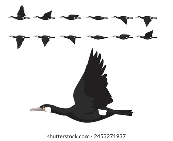 Bird Great Cormorant fliegende Animation Sequenz Cartoon-Vektorgrafik