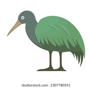 bird with green feathers wild isolated