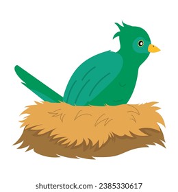bird green in nest vector isolated
