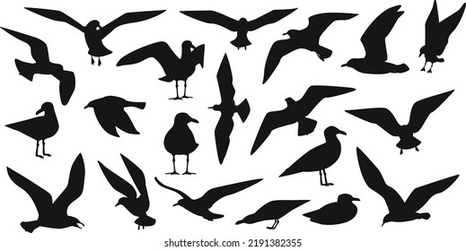 Dibujo de gaviota de pájaro aislado Vector Silhouettes