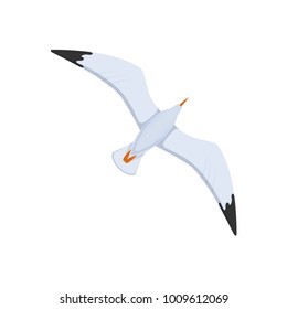 Bird gull, flying sea bird. A flight of seagulls in the sky, a flight over the water. Sea travel elements. Marine object. Vector illustration isolated.