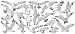 Bird Gull Vector Color Set Icon. Vector Illustration Seagull On White Background. Isolated Color Set Icon Bird Gull.