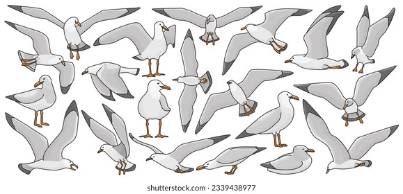 Bird gull vector color set icon. Vector illustration seagull on white background. Isolated color set icon bird gull.