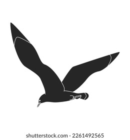 Bird gull vector icon.Black vector icon isolated on white background bird gull.
