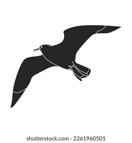 Bird gull vector icon.Black vector icon isolated on white background bird gull.