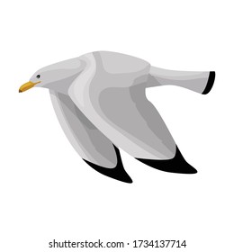 Bird gull vector icon.Cartoon vector icon isolated on white background bird gull.
