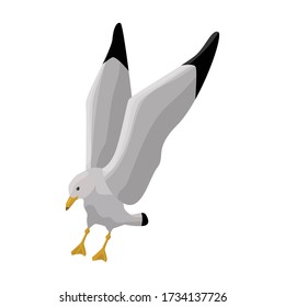 Icono vector de gaviota de pájaro.Icono vector de dibujos animados aislado en gaviota de pájaro de fondo blanco.