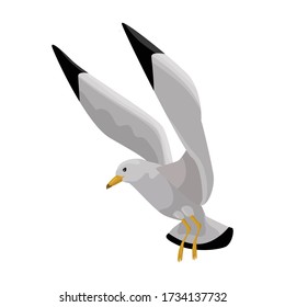 Bird gull vector icon.Cartoon vector icon isolated on white background bird gull.