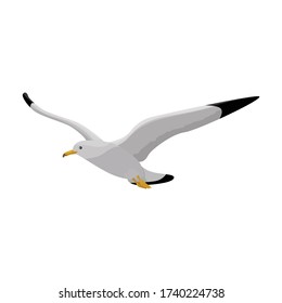 Bird gull vector icon.Cartoon vector icon isolated on white background bird gull.