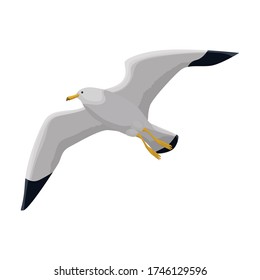 Bird Gull Vector Icon.Cartoon Vector Icon Isolated On White Background Bird Gull.