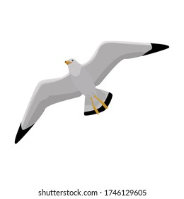 Bird Gull Vector Icon.Cartoon Vector Icon Isolated On White Background Bird Gull.