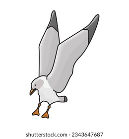 Bird gull vector icon.Color vector icon isolated on white background bird gull.