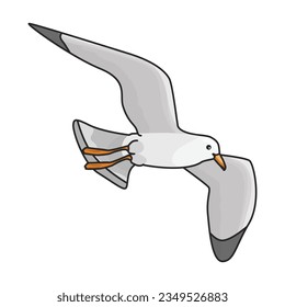 Bird gull vector icon.Color vector icon isolated on white background bird gull.