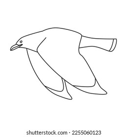 Bird gull vector icon.Outline vector icon isolated on white background bird gull.