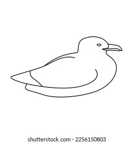Bird gull vector icon.Outline vector icon isolated on white background bird gull.