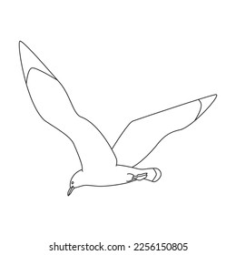 Bird gull vector icon.Outline vector icon isolated on white background bird gull.