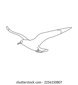 Bird gull vector icon.Outline vector icon isolated on white background bird gull.