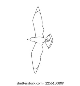 Bird gull vector icon.Outline vector icon isolated on white background bird gull.