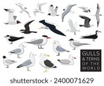 Bird Gulls and Terns of the World Set Cartoon Vector Character