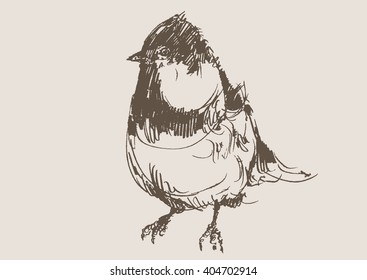bird hand draw sketch, vector