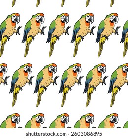 bird hand drawing pattern design template