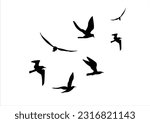 bird hand drawn design  vector 