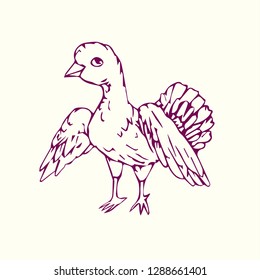 Bird hand drawn doodle, sketch in naïve style, outline vector illustration