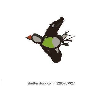 Bird hand drawn. Label, poster, postcard, print children's drawing. Vector illustration.