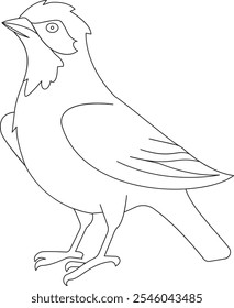 Bird Hand Drawn Line Art