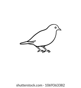 Bird hand drawn outline doodle icon. Vector sketch illustration of bird for print, web, mobile and infographics isolated on white background.