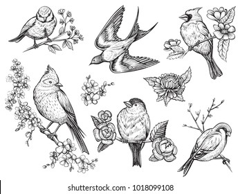 Bird Drawing High Res Stock Images Shutterstock