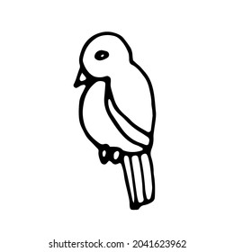 Bird. Hand drawn vector image