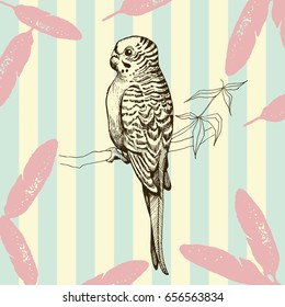 Bird hand drawn vintage illustration