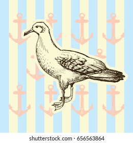 Bird hand drawn vintage illustration.Seagull illustration.