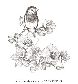 Graphic Drawing Flowers Birds Hd Stock Images Shutterstock