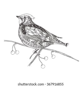 Bird. Hand-drawn waxwing with ethnic doodle pattern. Coloring page - zendala, for  relaxation and meditation for adults, vector illustration, isolated on a white background. Zendoodle.