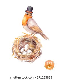 Bird in hat at nest with eggs. Man and child concept. Watercolor vector for baby born.