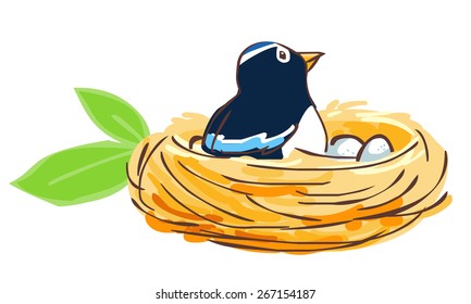 Bird hatch her egg in nest vector