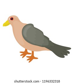 
Bird having colored beak characterizing pigeon icon 
