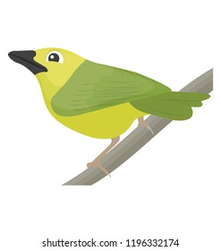 
Bird having green feathers and  beak characterizing parrot 
