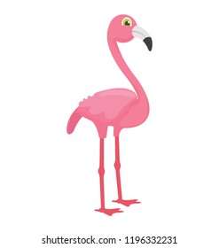 
Bird having long beak and smart legs depicting flamingo
