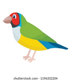 
Bird having multicolored feathers and beak characterizing parrot 
