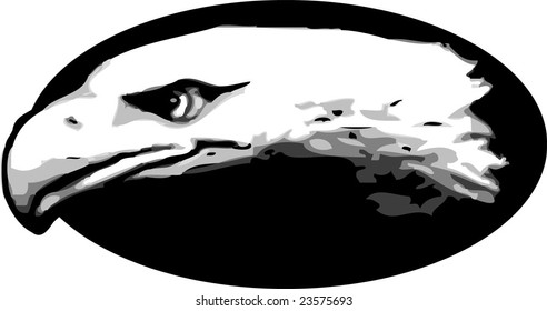 bird head